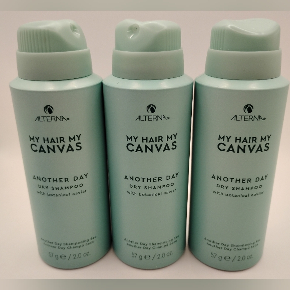 3 Alterna My Hair My Canvas Another Day Dry Shampoo With Bionical Caviar